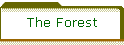 The Forest