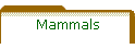 Mammals